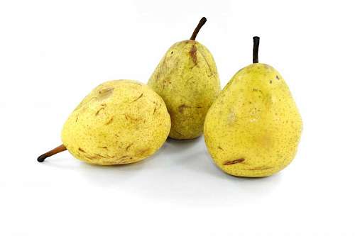 yellowish-gray-plumage-on-the-upper-part-and-white-on-the-bottom-with-a-dark-side-of-the-neck-every-stain pear fruit yellow whole vegetarian sweet nutrition health vitamin  pears yellowish agriculture produce organic brown