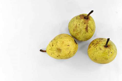pears agriculture organic three yellowish pear nutrition fruit brown