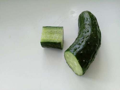 cucumber slice dietary cucumber vegetable tasty vegetarian vegetables diet health