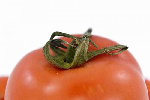 folhas de tomate produzem ingredientes vegetais frescos próximos à saúde da folha