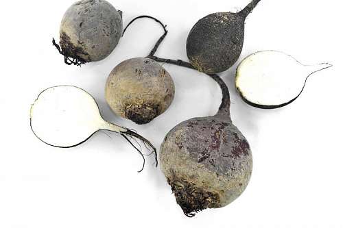 vegetables root radish vegetable beetroot roots nutrition nature