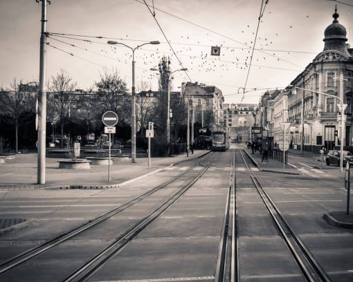 líneas de bratislava ciudad tranvías en blanco y negro pájaros de la calle
