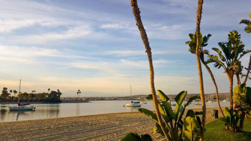 florida florida  usa  palms  amazing  relax  travel  beach