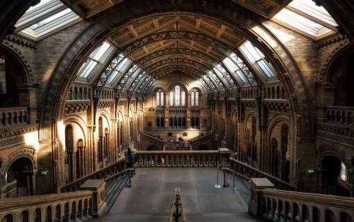 lugar turistico arquitectura edificio infraestructura museo de historia natural punto turístico de londres