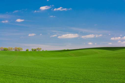 grassland green  grass  grassland  mountain  landscape  nature  field