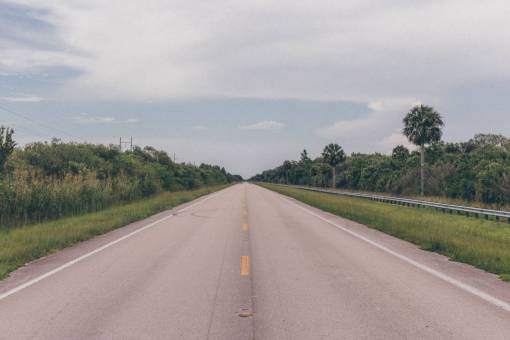 la carretera plantas verdes hierba árboles naturaleza al aire libre carretera