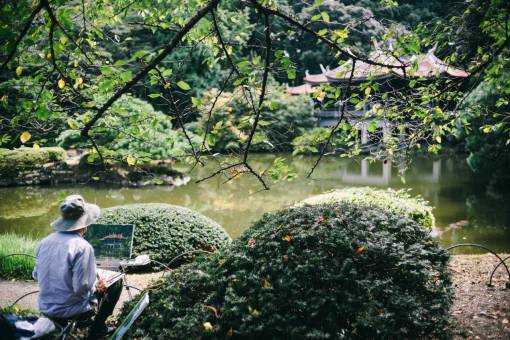 man  people  painting  art  green  grass  plants