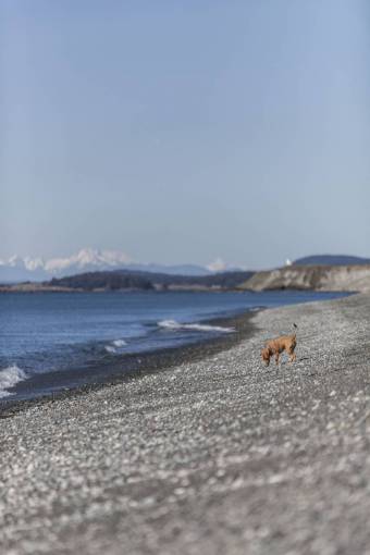 nature  water  ocean  sea  beach  waves  current