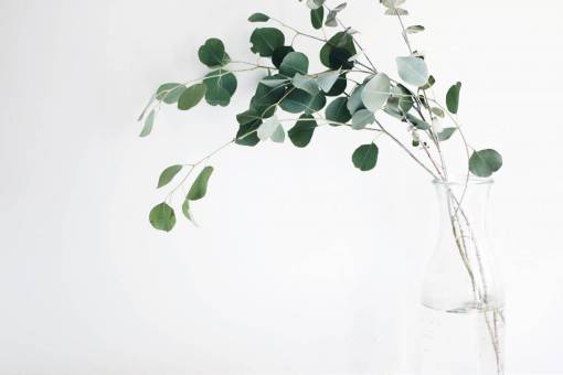 artico todavía artículos cosas plantas florero ramas hojas