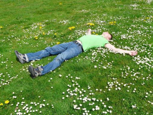 tranquil-scene Man lying in a park sleeping on the grass