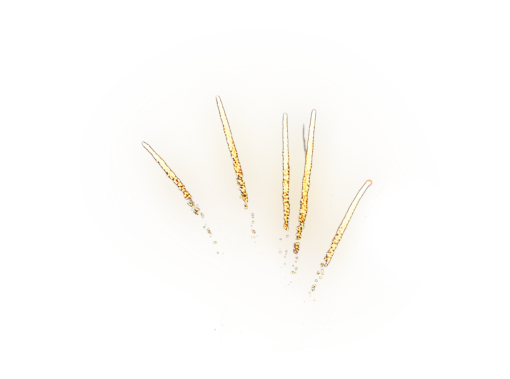  abstract png vector overlay backgrounds illustration Fireworks