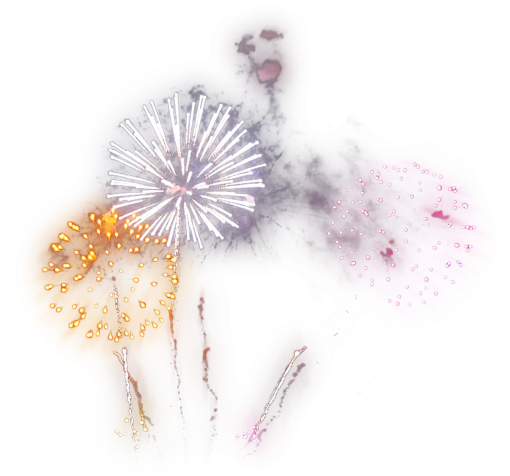 anatomy  overlay png science anatomy Fireworks illustration