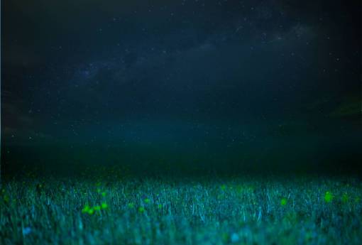 astronomia noche galaxia naturaleza astronomía pastizal;fondo vía láctea estrella