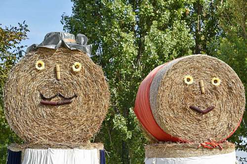 covering agriculture hay farm nature straw rural outdoors
