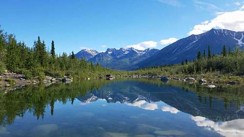 forest lake landscape reflection mountain water mountains range glacier