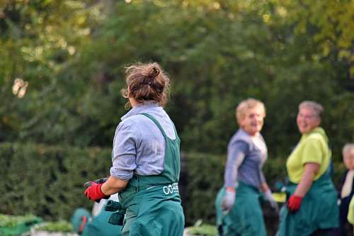 teamwork gardener planting teamwork gardening job leisure happy park 