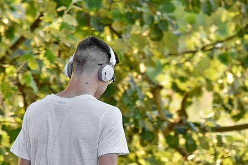 teenager headphones boy portrait nature headset teenager outdoors leaf tree walks