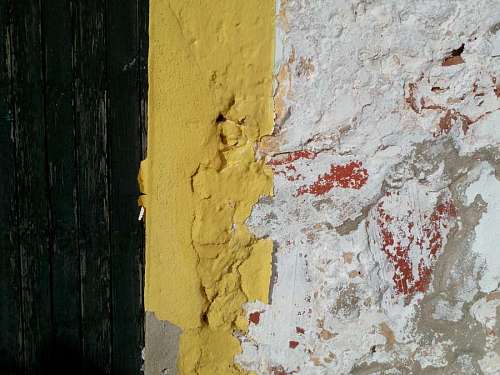 chip pared colores