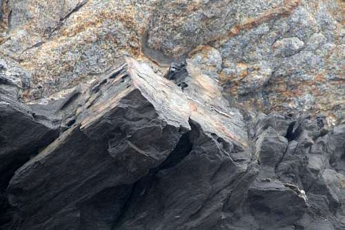 seda rocas