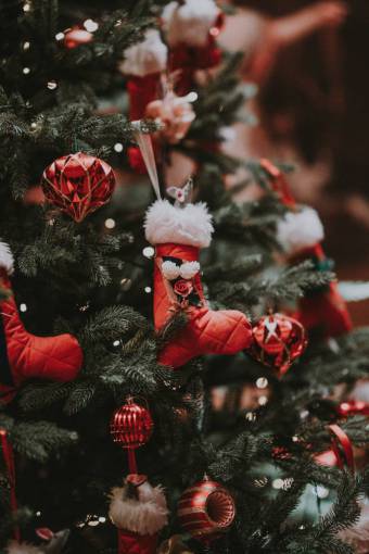 nadie árbol de navidad, cicatrizarse