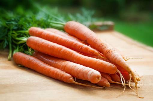 Carrots fresh from the garden