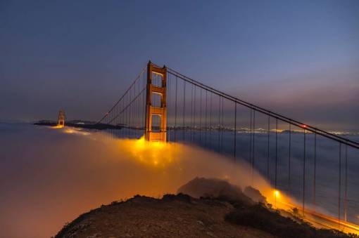 california-poppies Golden Gate Bridge in San Francisco, USA at Night