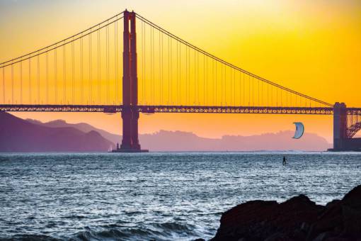 california-poppies Golden Gate bridge in San Francisco USA at Sunset