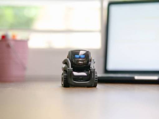 vector Robot