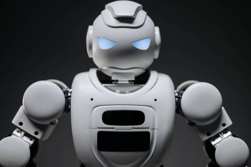 vector Robot