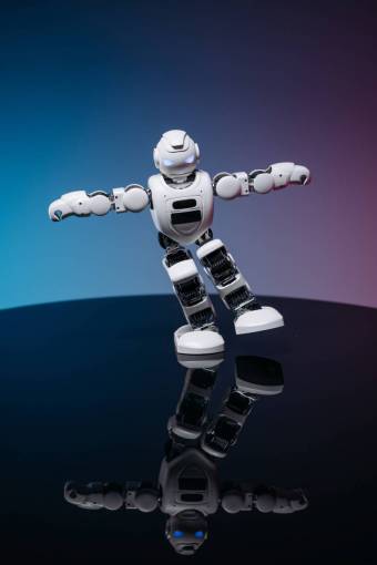 vector Robot
