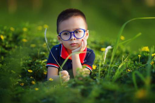 educacion Chico inteligente con gafas en el jardín pensando