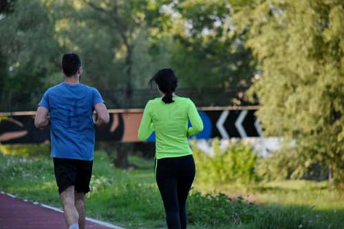 runner athlete  people  runner  running track 