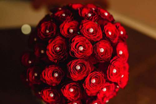 perla bouquet roses pearl gift valentine romance flower rose 