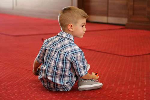 carpet-of-leaves carpet playful childhood boy indoors kid child person