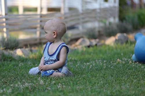 childhood grass toddler child  portrait park fun