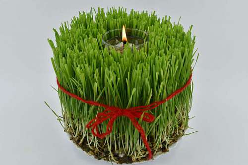 orthodox christianity orthodox flame evening wheat religion plant nature health