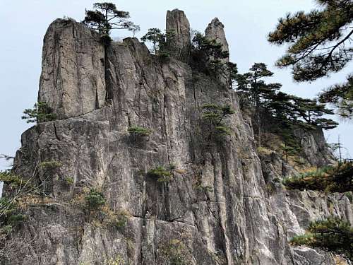vertical cliff mountain rocks tree rock nature vertical landscape outdoors sight cliffs  landscapes