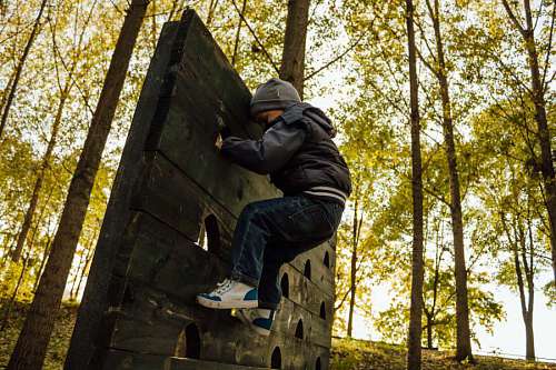 playground climber playground climbing child boy skateboard trees forest board tree 