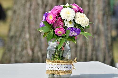 imagination desk bouquet decoration romantic flowers vase jar flower decorative arrangement shadow cu flori vaze colorat borcan imagini flowering nature garden