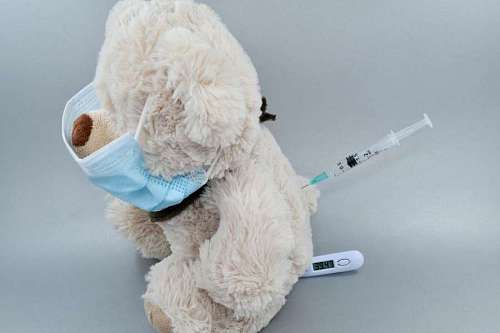 teddy-bear disease mask bear face teddy infectious vaccine toy temperature healthcare science indoors medicine health  covid vaccinate pets should says