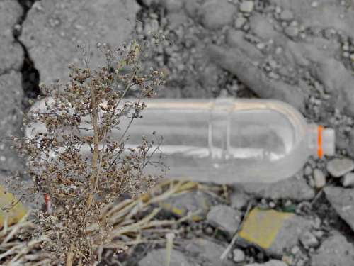 garbage dry pollution ground trash season garbage landscape nature rock ecology bottle 