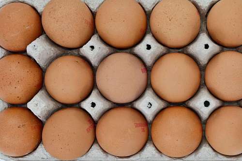 protein egg shell protein aerial box poultry cholesterol ingredients chicken 