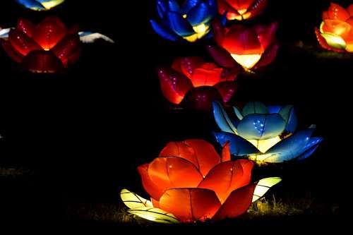 midnight electricity artistic midnight shadow lamp stained bright autumn glass