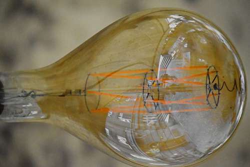 vertical electricity glass bulb wires transparent close vertical outdoors nature