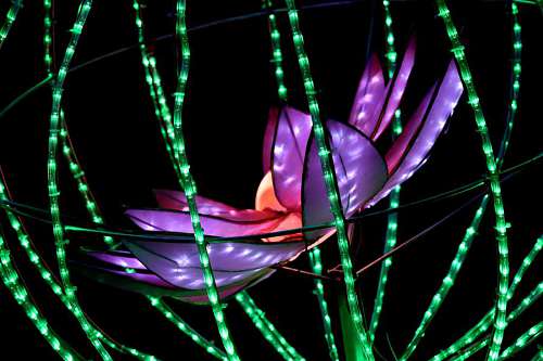 lily-family electricity lamp fantasy artwork handmade lily pad purple
