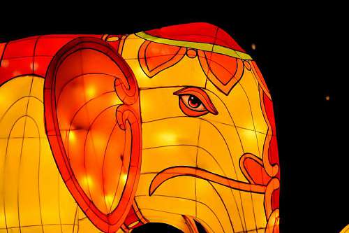elephant fantasy orange head stained glass vibrant nighttime sculpture artwork yellow
