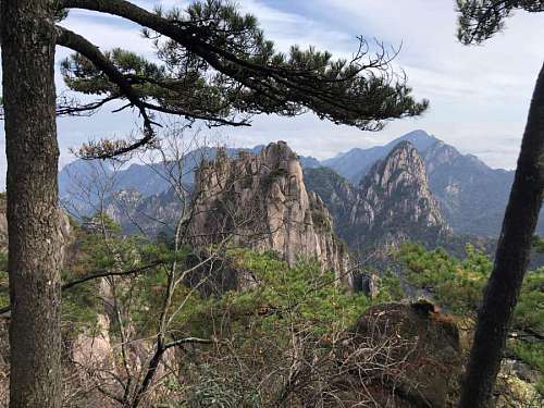 rotation forest cliff spruce wood landscape pine mountain tree rock nature 