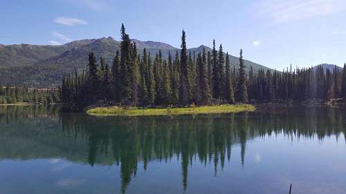 forest lake water island lakeside reflection wilderness landscape tree river