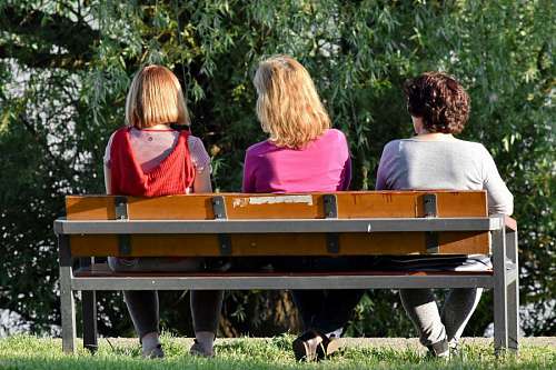 seat-belt friends three bench park friendship together relaxation seat