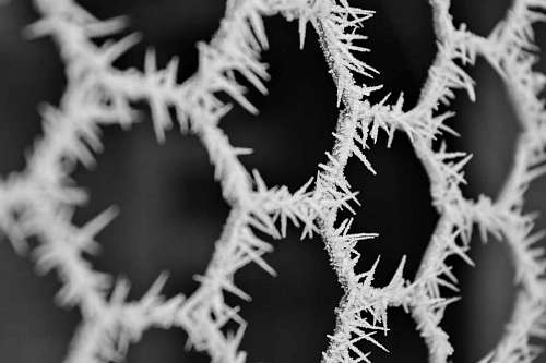 crystal-clear-water frozen ice close cold crystal snow monochrome wire kb